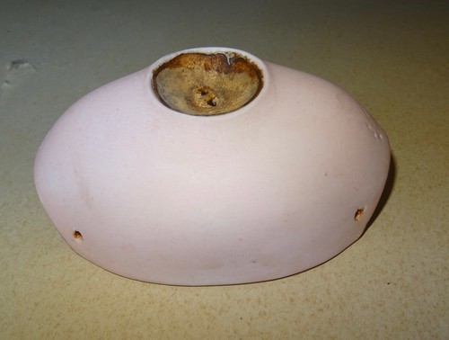 F.Gaultier collana biscotti